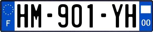 HM-901-YH