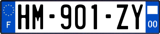 HM-901-ZY