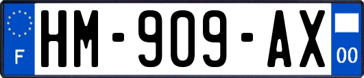 HM-909-AX
