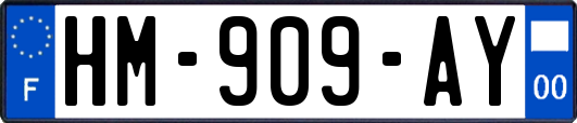HM-909-AY