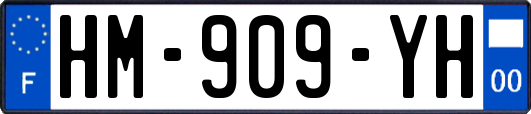 HM-909-YH