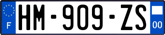 HM-909-ZS