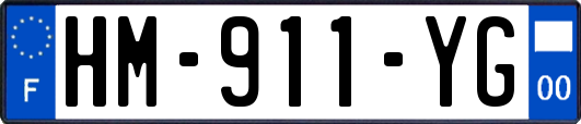 HM-911-YG