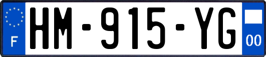 HM-915-YG