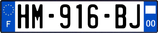 HM-916-BJ