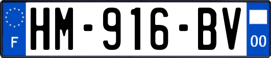 HM-916-BV