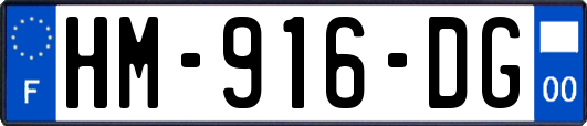HM-916-DG