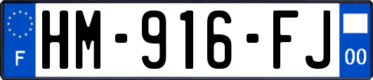 HM-916-FJ