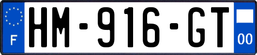 HM-916-GT