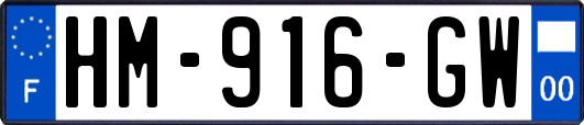 HM-916-GW