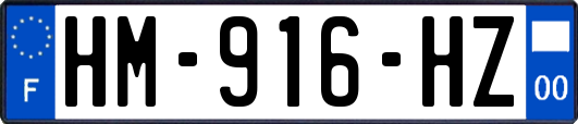 HM-916-HZ