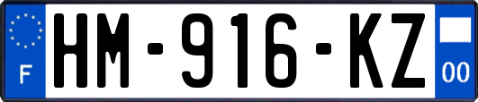 HM-916-KZ