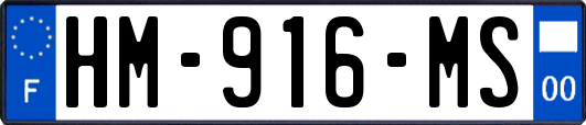 HM-916-MS