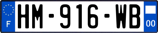 HM-916-WB