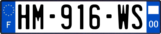 HM-916-WS