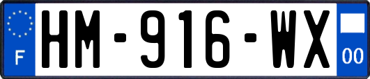 HM-916-WX