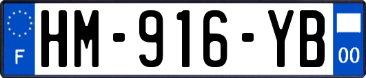 HM-916-YB