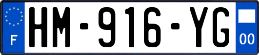 HM-916-YG