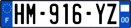 HM-916-YZ