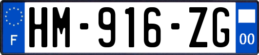 HM-916-ZG