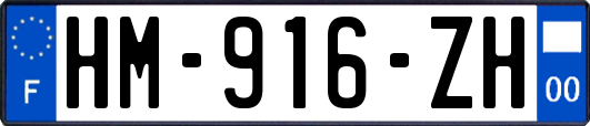 HM-916-ZH