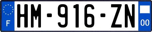 HM-916-ZN