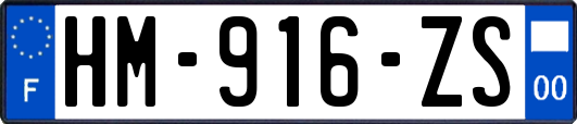 HM-916-ZS