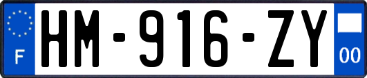 HM-916-ZY