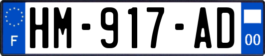 HM-917-AD