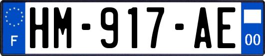 HM-917-AE