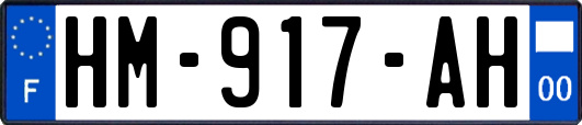 HM-917-AH