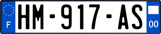 HM-917-AS