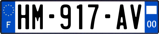 HM-917-AV