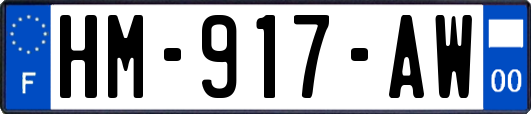 HM-917-AW
