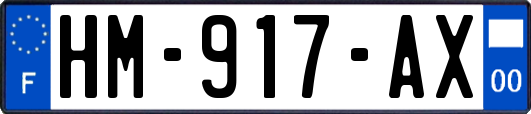 HM-917-AX