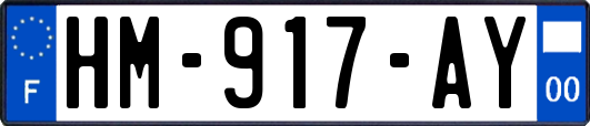 HM-917-AY