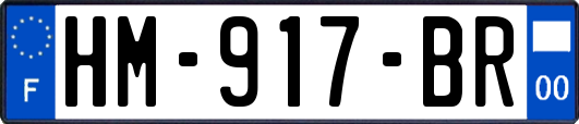 HM-917-BR