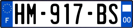 HM-917-BS