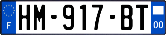 HM-917-BT