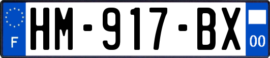 HM-917-BX