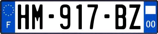 HM-917-BZ