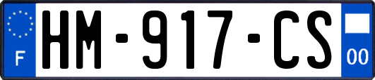 HM-917-CS