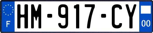 HM-917-CY