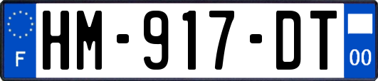 HM-917-DT