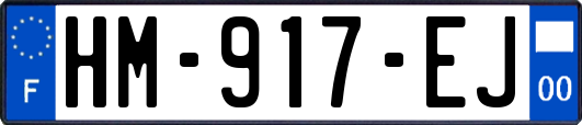 HM-917-EJ