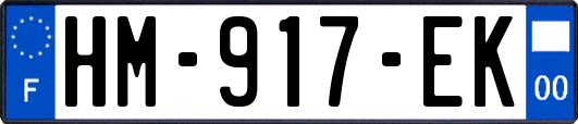 HM-917-EK