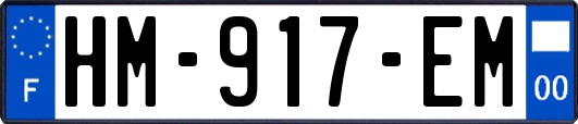 HM-917-EM