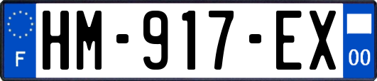HM-917-EX