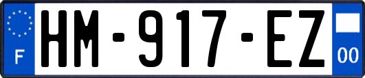 HM-917-EZ