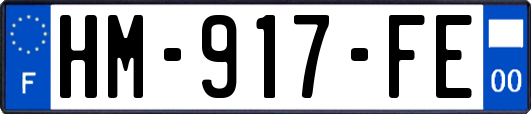 HM-917-FE